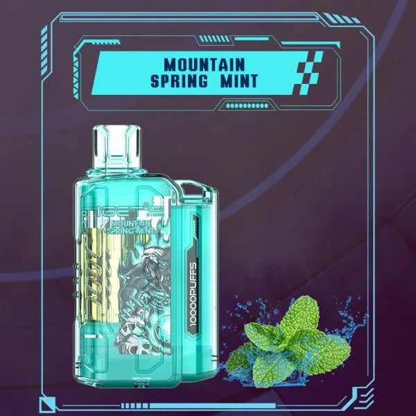 IGET FLARE B10000 – Mountain Spring Mint - Vape Shop Kolkata