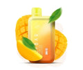 Elfbar Raya D1 – Double Mango - Vape Shop Kolkata