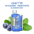 IGET FLARE B10000 – Blueberry Mint - Vape Shop Kolkata